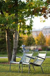 Green iron chairs on green lawn in empty public space. autumn season.