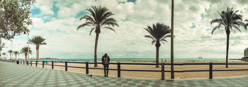 Palm trees on beach against sky