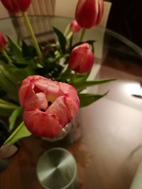 Close-up of red flower