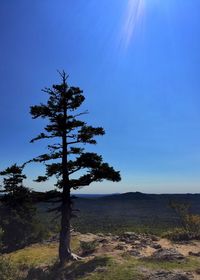 Scenic view of beach against blue sky