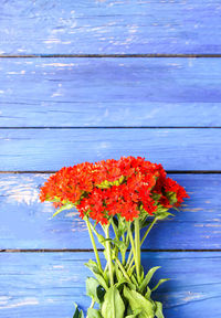 Directly above shot of red flowers on wooden table