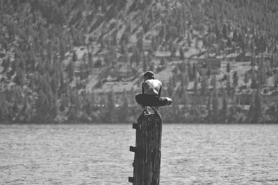 Boy on wooden post over lake