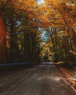 Road amidst trees in forest during autumn