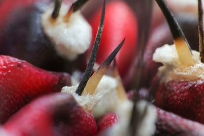 Close-up of dessert