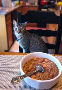 Cat in bowl on table