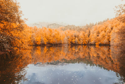 Scenic view of lake by trees against sky during autumn