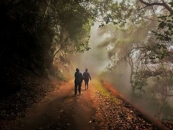 Rear view of men walking on tree