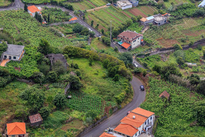 High angle view of houses and trees