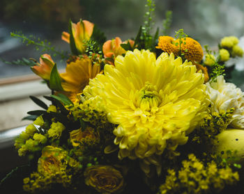 Close-up of yellow flowering plant