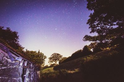 Low angle view of trees against clear sky