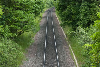 A single railway line running through a forest
