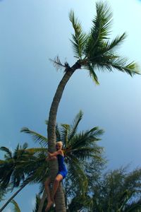 Low angle view of coconut palm tree against sky