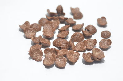 Close-up of chocolate cake