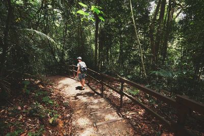 Man walking in forest