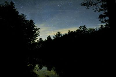 Silhouette of trees against sky at night