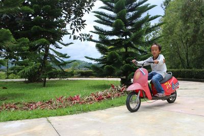 Woman riding motorcycle sitting on road against trees