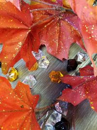 High angle view of wet red leaves on plant during rainy season