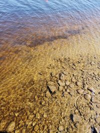 High angle view of crab on beach