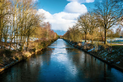 Scenic view of river amidst trees against sky