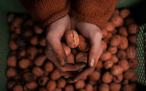 Close-up of hand holding berries