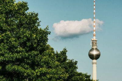 Trees growing by fernsehturm against sky