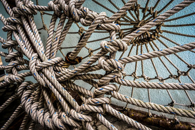 Close-up of tied ropes