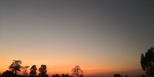 Low angle view of silhouette trees against sky at sunset