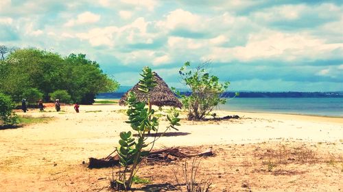 Scenic view of beach against sky