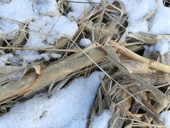 High angle view of ice on snow