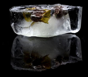 Close-up of ice cream over black background