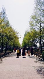 People walking on footpath