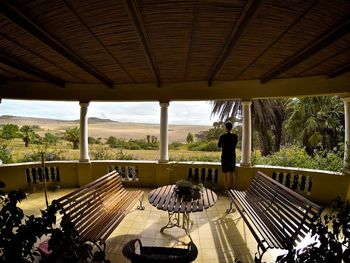Rear view of silhouette woman standing by window