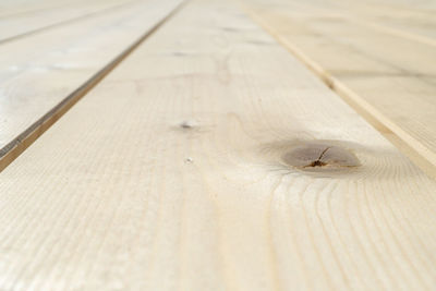 High angle view of insect on floor