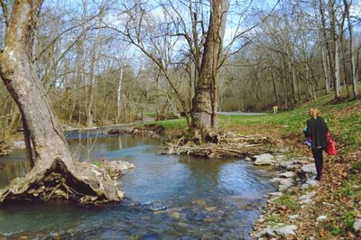 Rear view of woman amidst trees in water