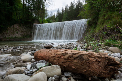 Scenic view of waterfall in forest