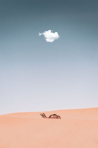 Scenic view of desert against sky