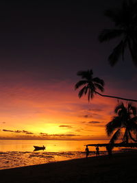 Silhouette of palm trees at sunset