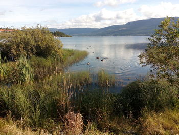 Scenic view of lake against sky