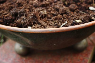 Close-up of eggs in bowl