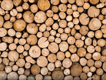 Full frame shot of logs in forest