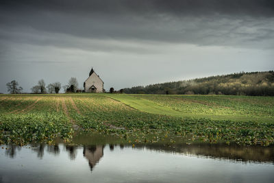 Scenic view of field by lake against sky