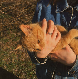 High angle view of hand holding animal