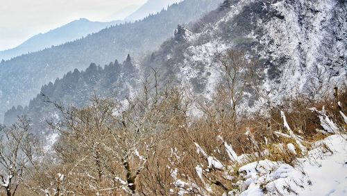 Scenic view of snow covered mountains