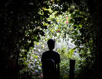 Rear view of man looking at trees