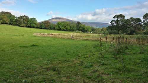 Scenic view of grassy field against cloudy sky