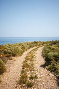 Scenic view of sea against clear sky