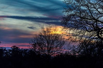 Silhouette trees against dramatic sky during sunset