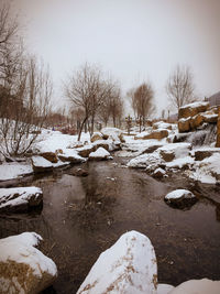 Bare trees on snow covered landscape