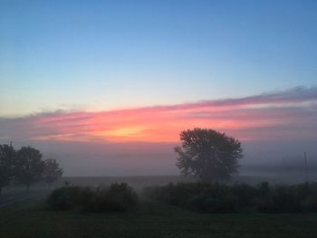 Trees on field against sky at sunset