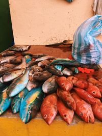 Fish for sale at  an outdoor dominican republic market
